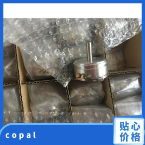 日本COPAL馬達(dá) JC40S±0.3 % 244